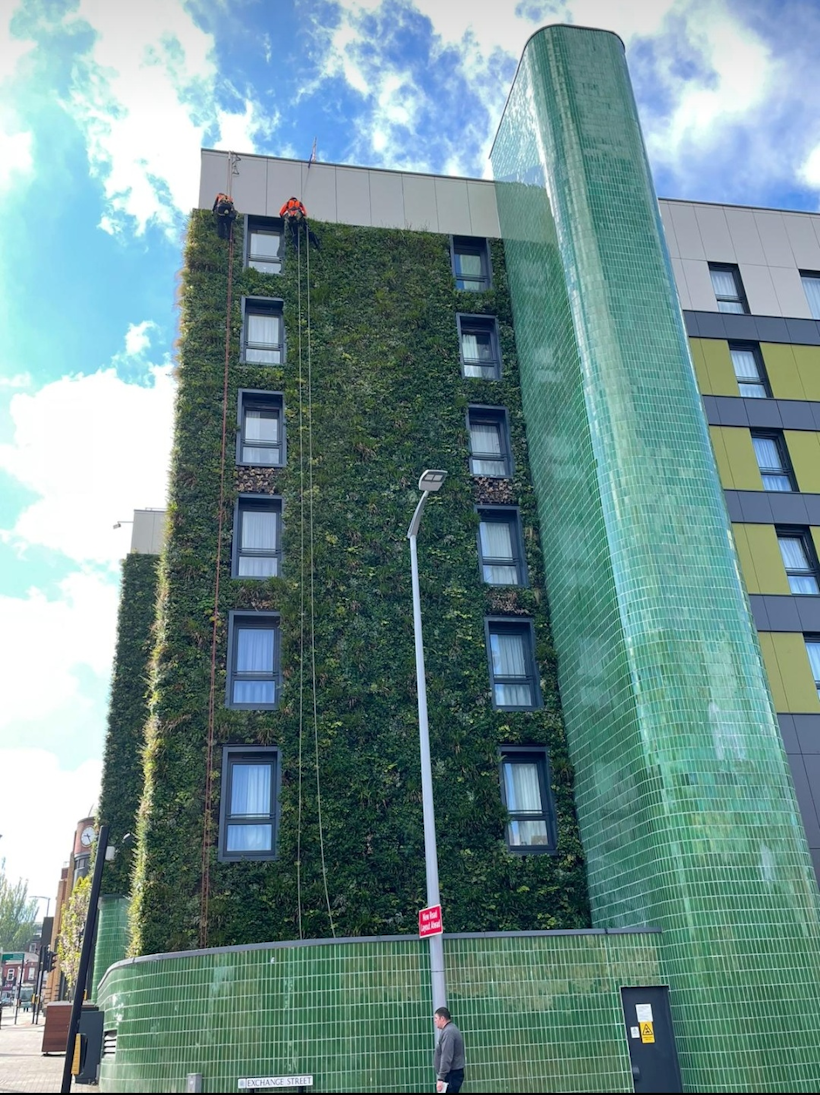 maintenance of a living wall by abseil