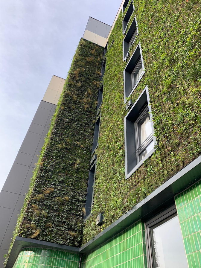 Contractors Living Wall & Green Roof