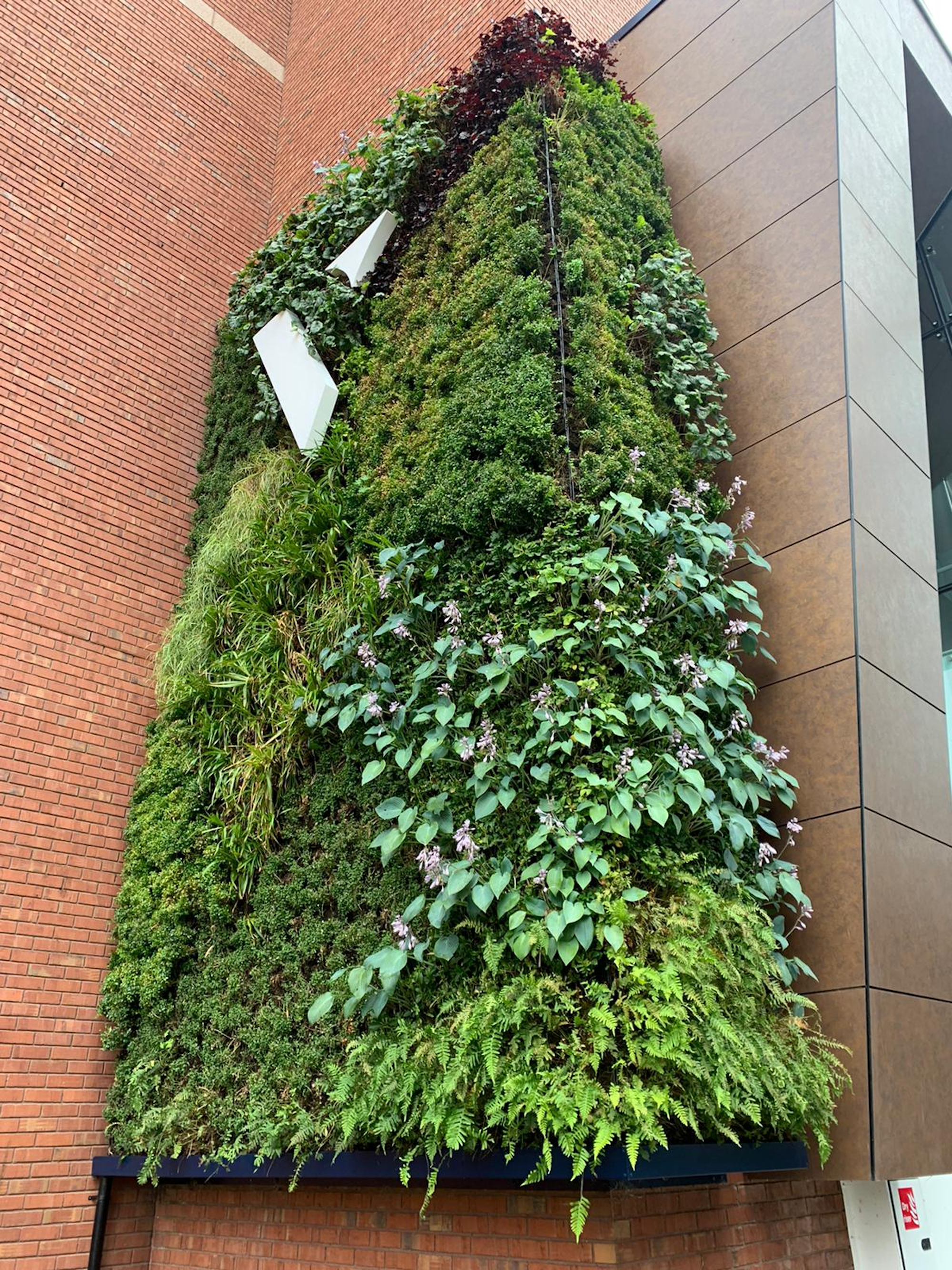 flowering green living wall with signage