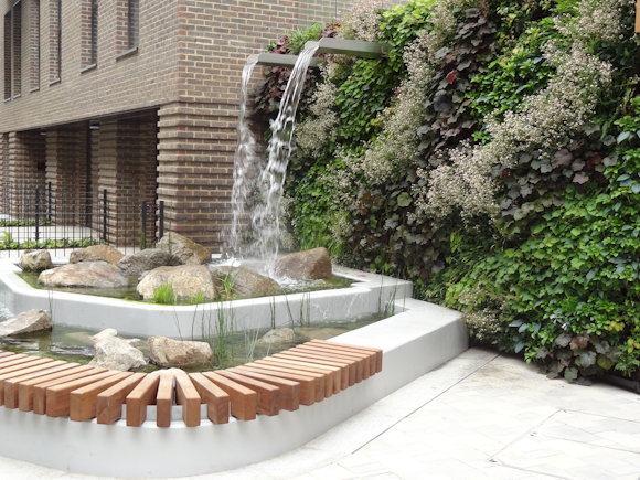 When to consider a consultation on your living wall project