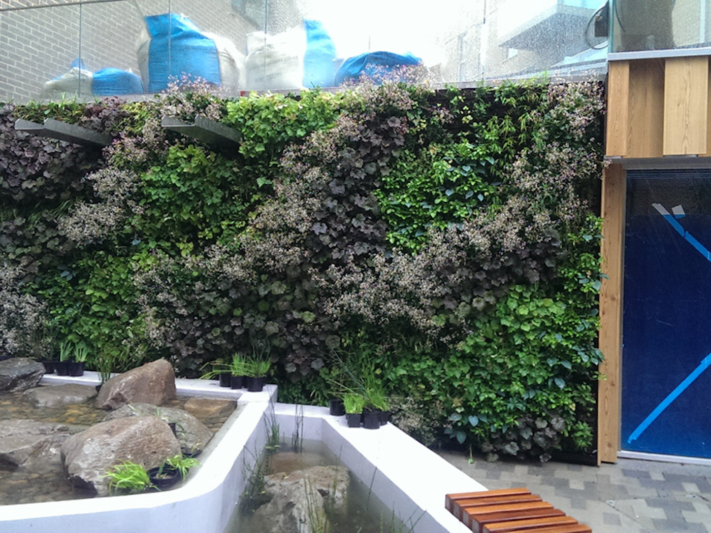living green wall behind a water feature