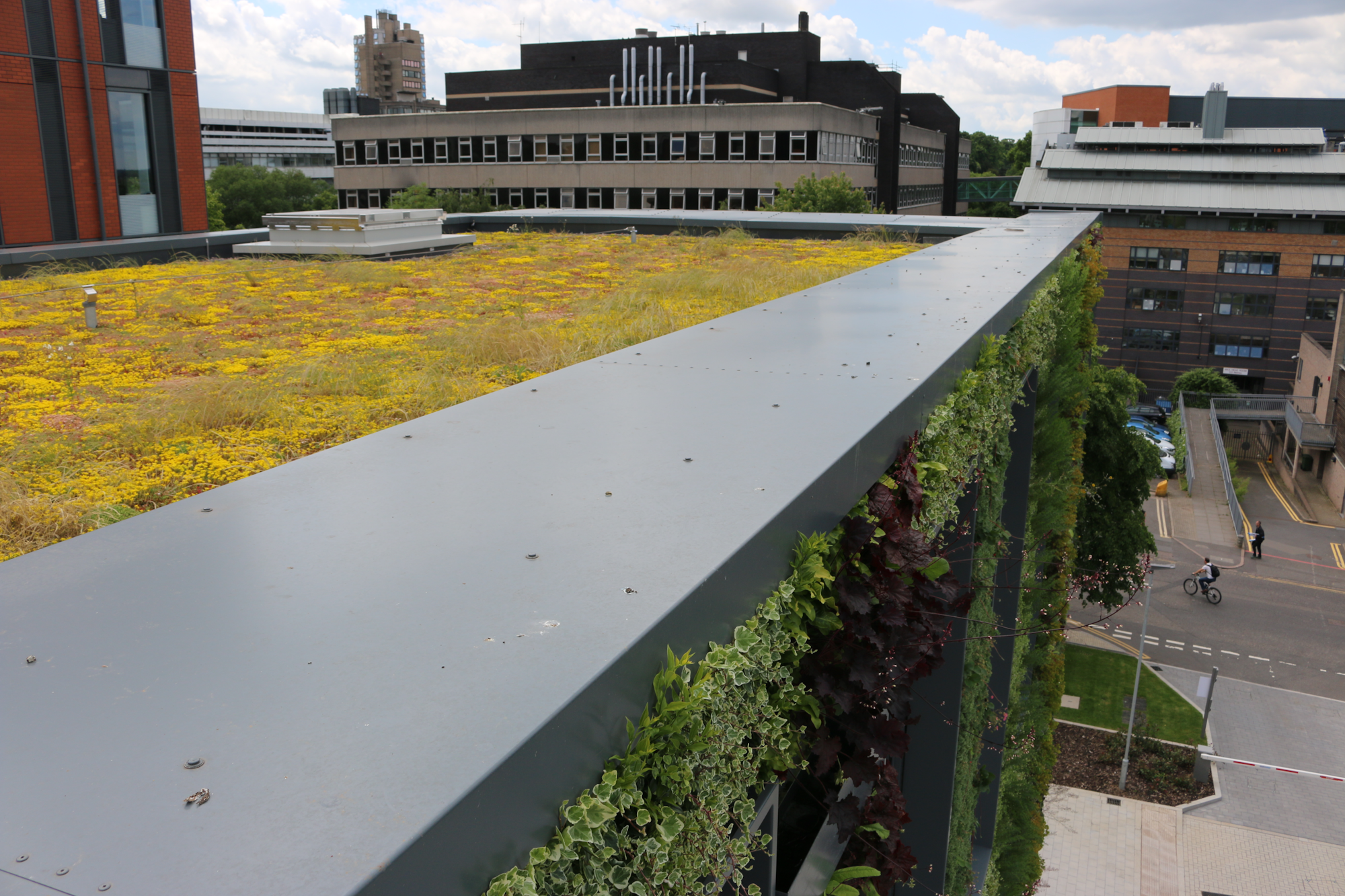 Wildflower Green Roof and Living Wall At University Of Leicester