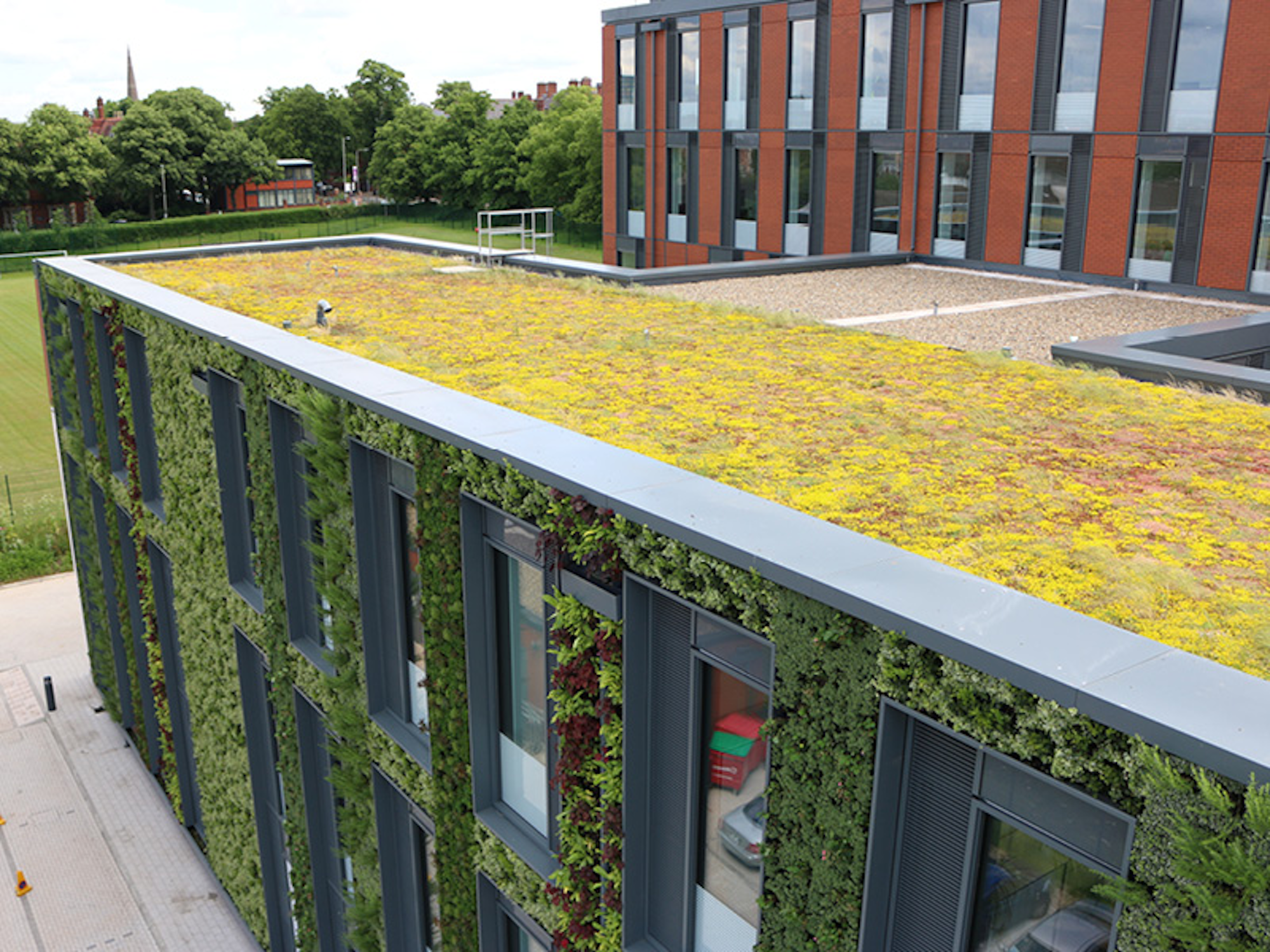 Green roof and living wall on the building