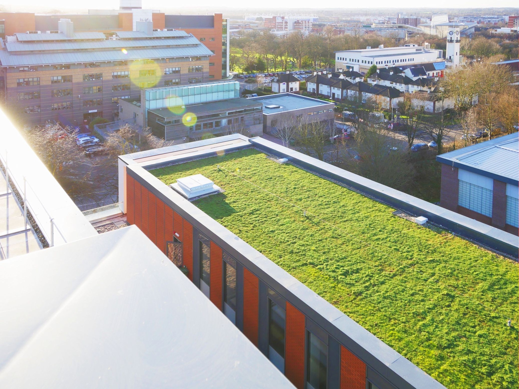 University of Leicester Green Roof
