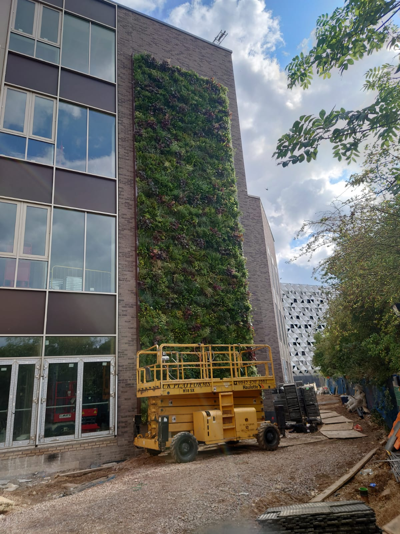 tall vertical green wall on university campus building facade