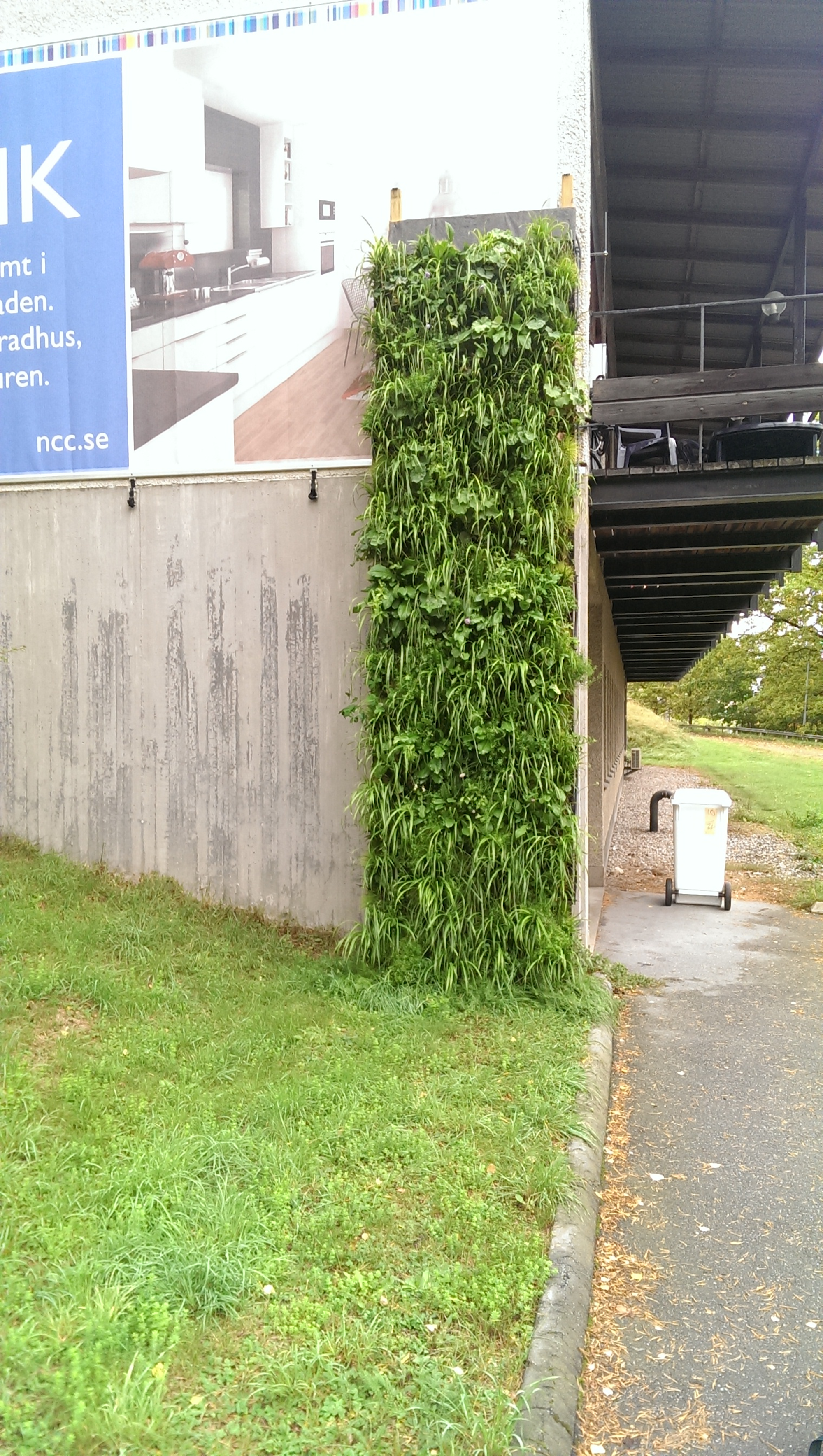 trial green wall in sweden
