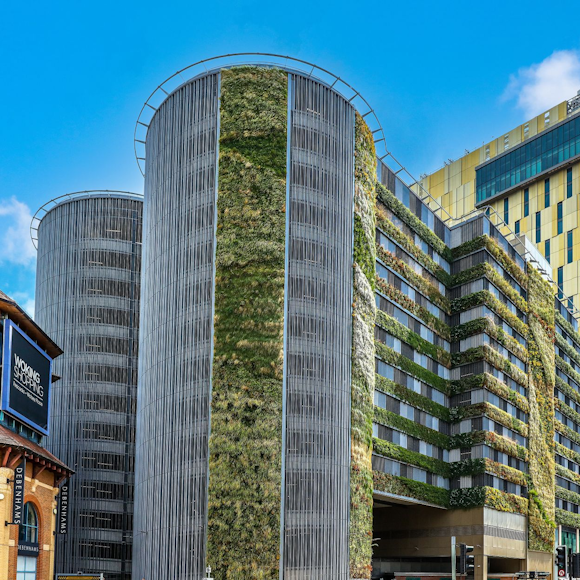 Do living walls provide the answer to biodiversity net gain demands?  with PBC Today