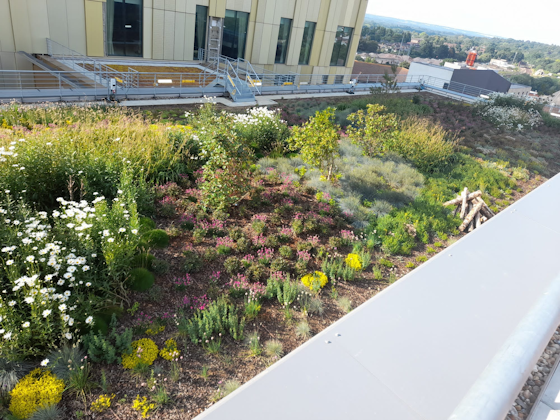 CPD Education, living roof on top of multi storey car park