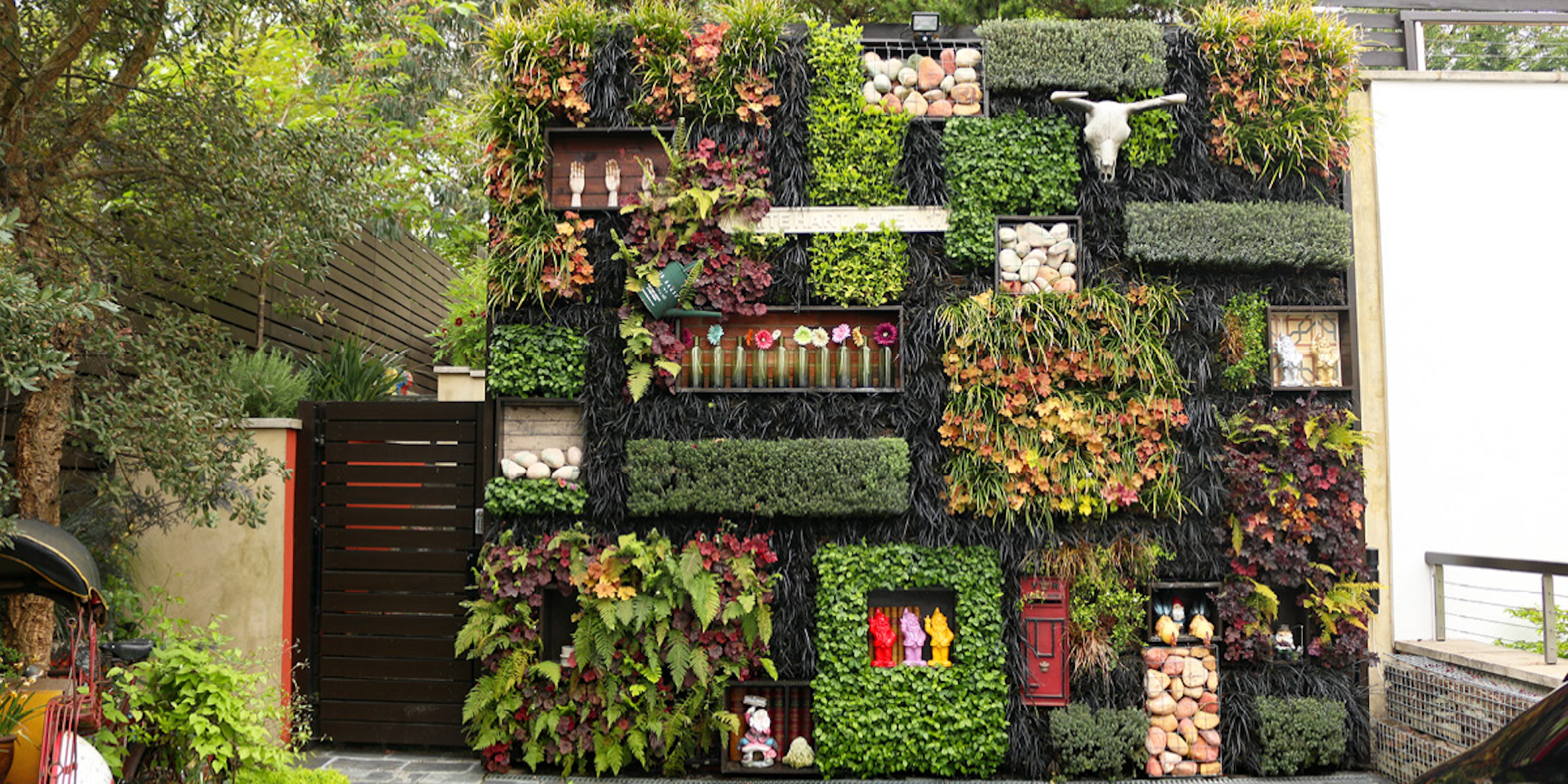 living green wall as a feature in a driveway