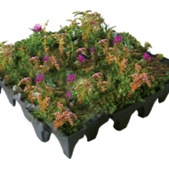 Viritopia GrufeKit Green Roof System - Sedum and Wildflower