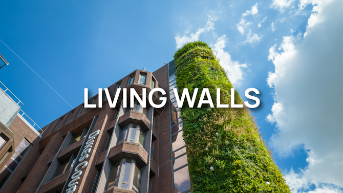 Your Guide to Living Walls