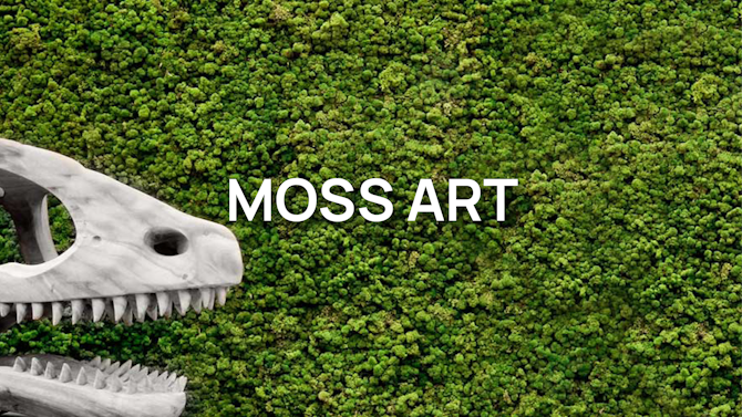 Viritopia Moss Art Product Guide