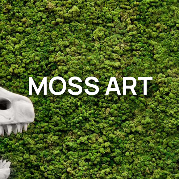Viritopia Moss Art Product Guide