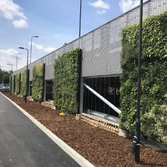 Maximising a living wall for biodiversity