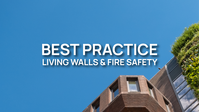Living Walls and Fire Safety: Best Practice Guide