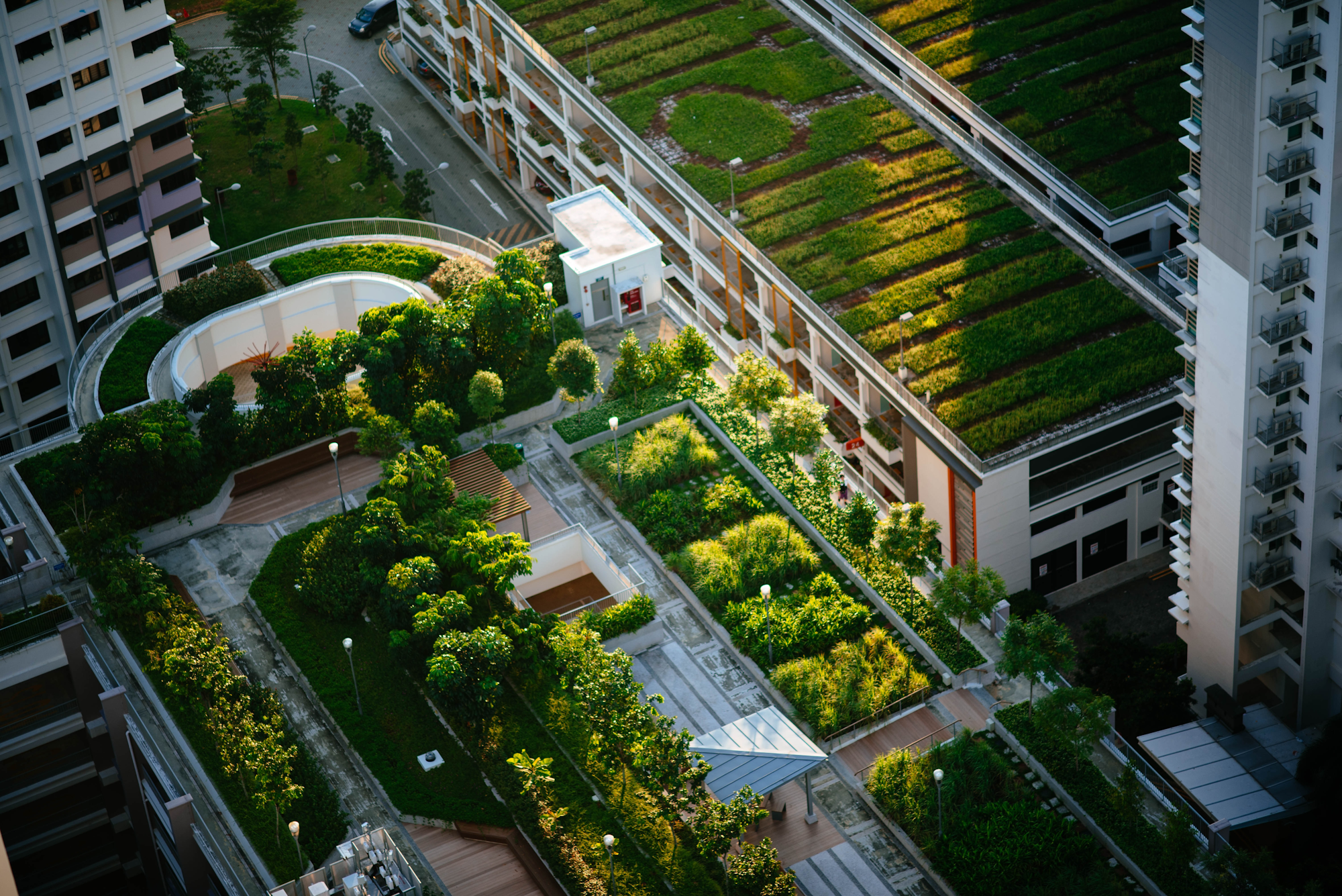 a roof top garden green roof from above in the city