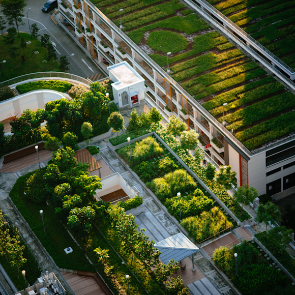 What are the 4 types of Green Roof Systems?