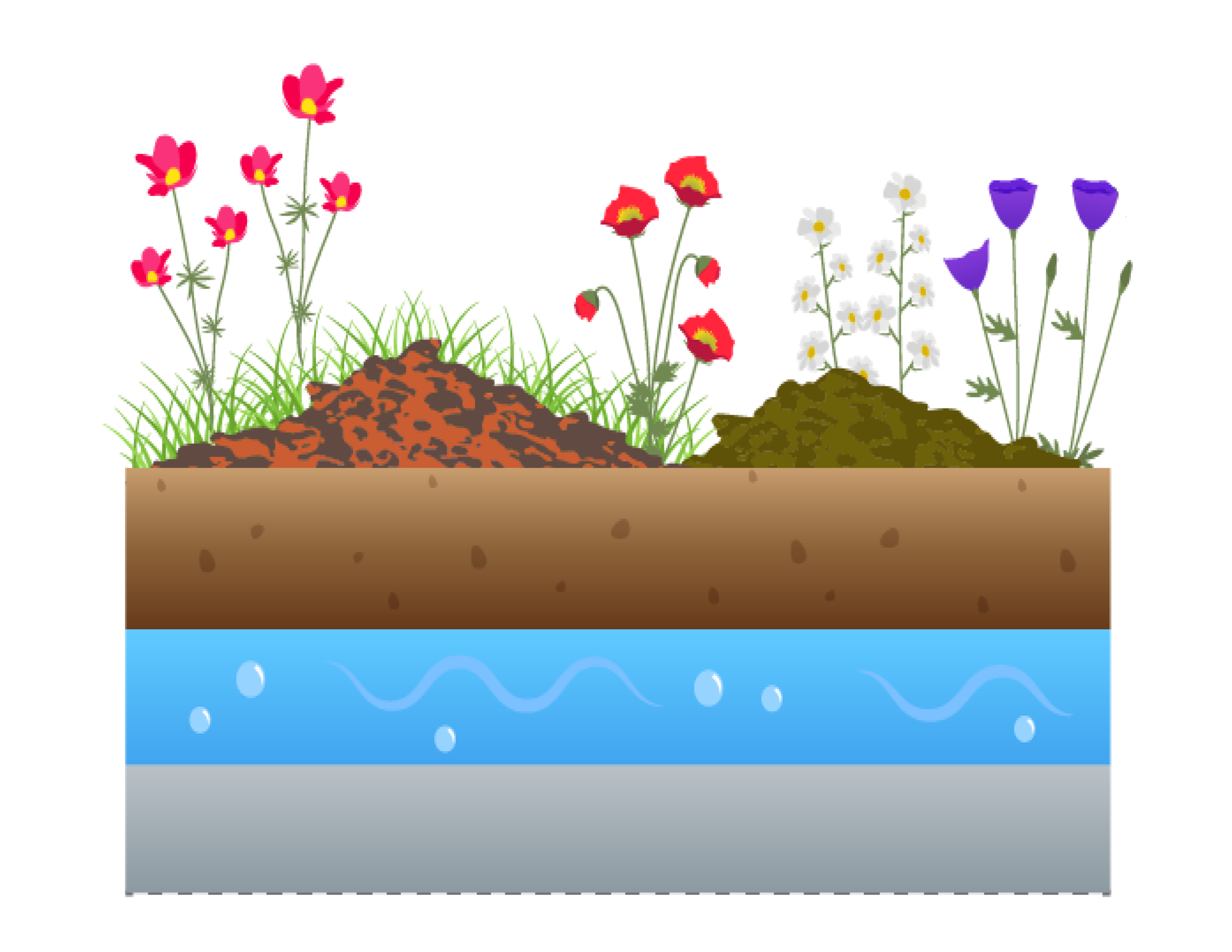 diagram illustration of a biodiverse brown roof with wildflowers