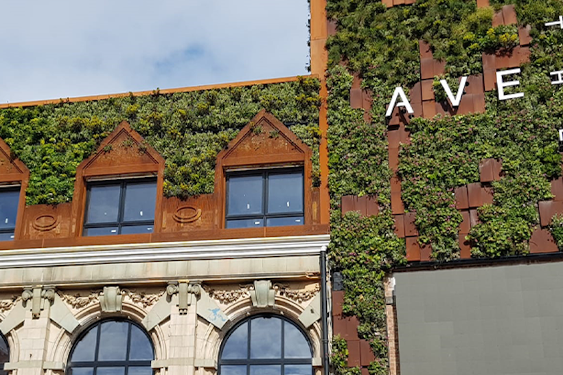 residential building living wall