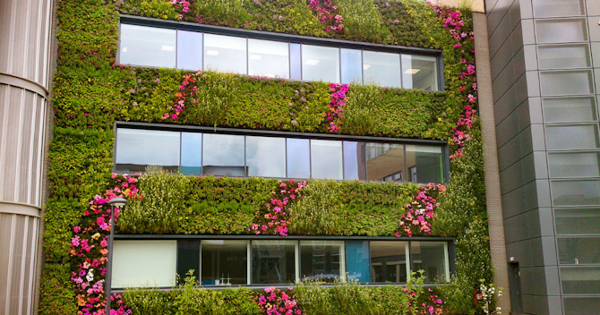 The Artistry of Planting Design: Creating Visual Drama in Living Wall Installations