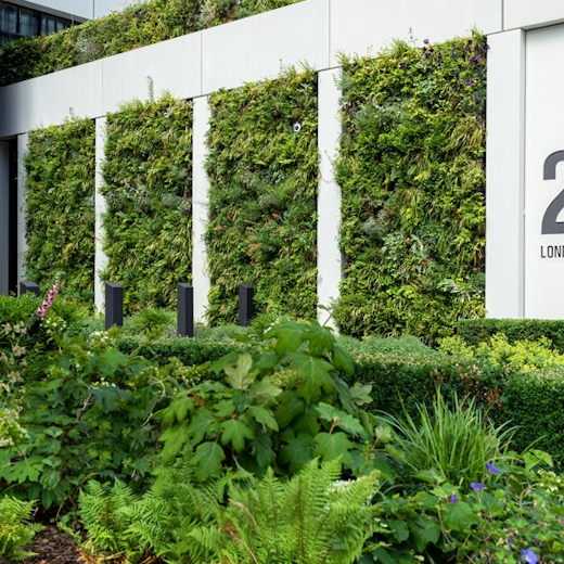Living wall consultancy