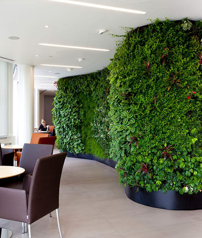 office living wall