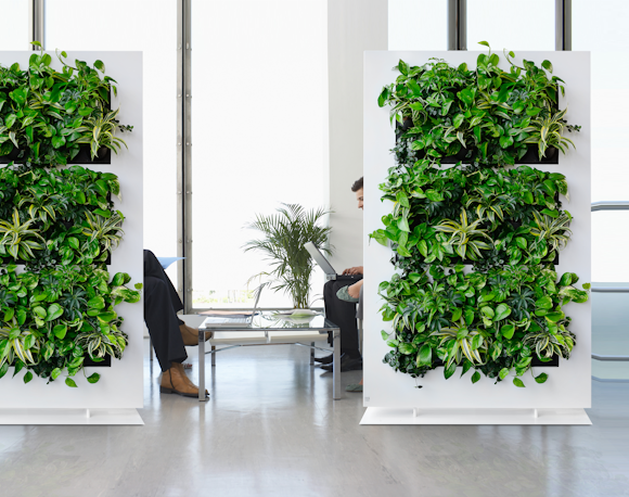 How to create an indoor plant living wall