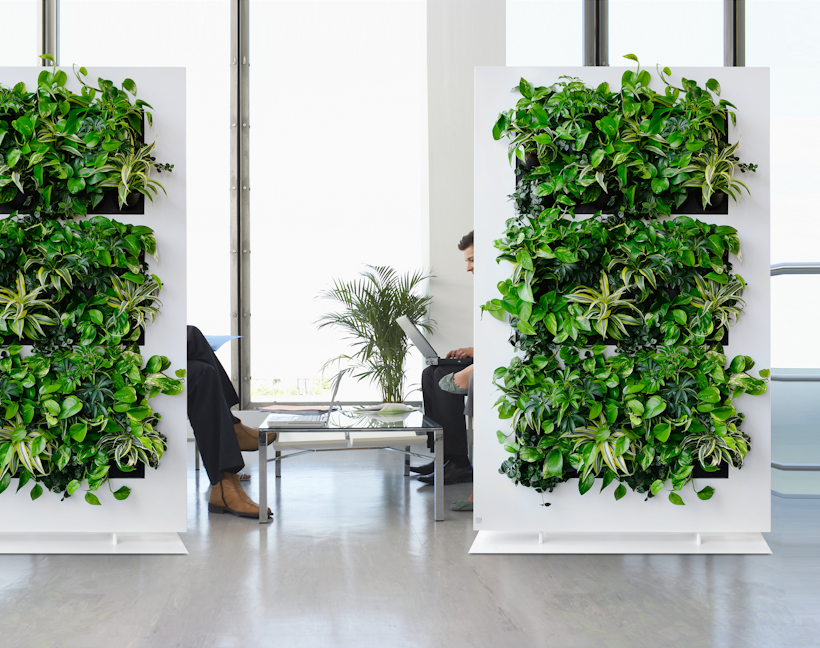 indoor plant wall for offices