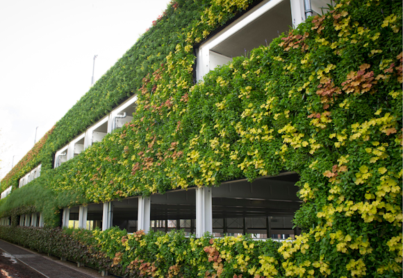 What will each season bring for your Viritopia living wall?