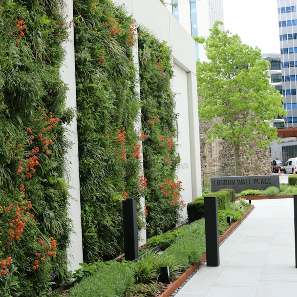 Living wall fire regulations explained: All you need to know